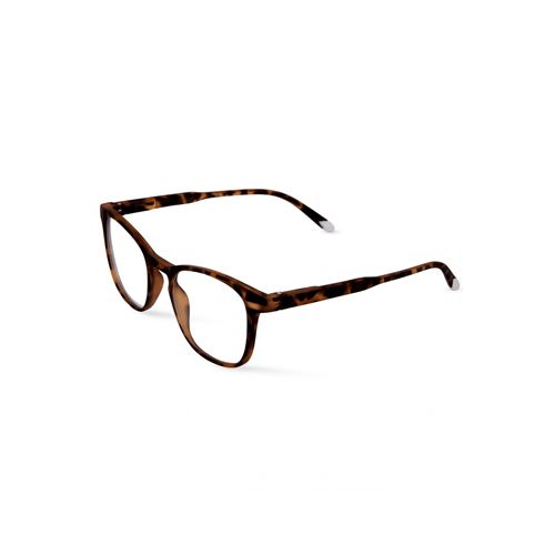  Barner Dalston Screen Glasses - Tortoise